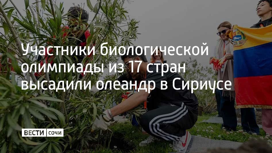 В Олимпийском парке участники Открытой международной биологической олимпиады посадили олеандр обыкновенный – вечнозеленый кустарник, один из самых выносливых видов в мире