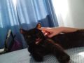 Доброе утро, Кубань!. Краснодар +25 °С