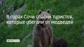 В горах Сочи в районе перевала Медвежьи ворота на высоте около 1900 метров заблудилась 25-летняя туристка из Москвы