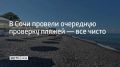В Сочи 17 июня специалисты проверили экологическое состояние пляжа "Замок у моря" в Лазаревском районе
