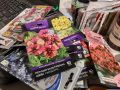 Подготовка к весеннему цветению: какие растения сеять на рассаду в этом месяце