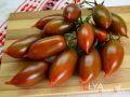 Эмалия: редкий цвет плодов и стабильный урожай в любых условиях