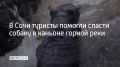 � ���� ������� ������� ������ ������ � ������� ������ ����