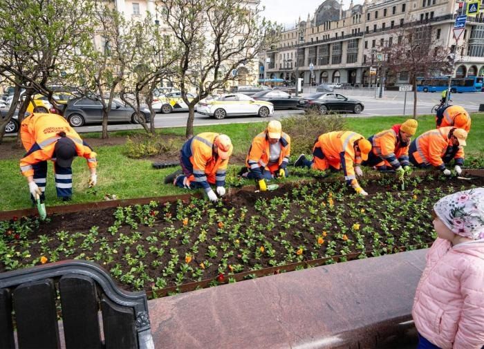 Озеленение городов: утраченные навыки и современные вызовы