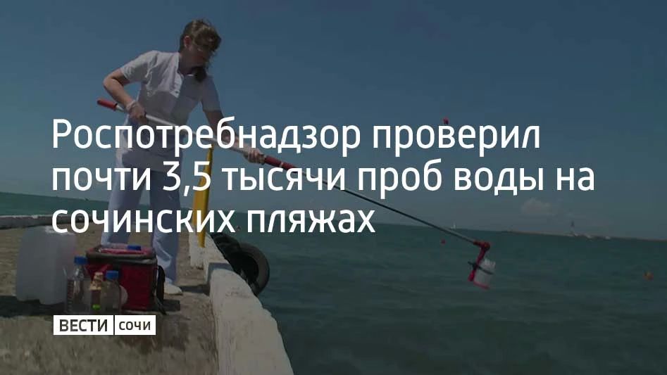 С начала года Роспотребнадзор взял больше 3,3 тысячи проб морской воды на пляжах Сочи