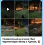 � ���� ����������� ���� �������� ������������ ������� �������� ����������, � ������� ����������, ��� �� ����� �������� ������� ���� ��������� ������