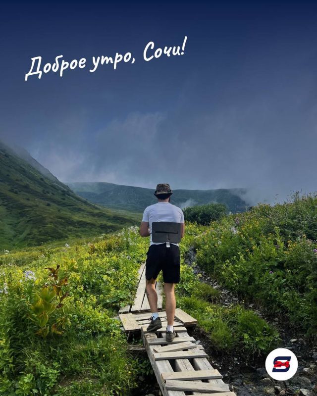 Доброе утро, Сочи!. Пусть этот день будет солнечным, лёгким и наполненным приятными моментами
