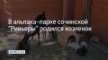 � ����� ��������� � ���� ����������, �� �� � �������, � � ��� ������ ������