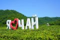 Доброе утро, дорогие сочинцы и гости курорта!