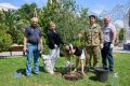 В Сочи в День семьи, любви и верности состоялась акция «Семейное родовое дерево»