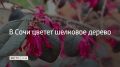 � ��������� ��������� ������ �������� ������������, ������� �������� ����������� ������� ��� ������ �������, ���������� � �����-������ �����