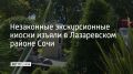 В Лазаревском районе Сочи демонтировали три киоска без разрешительных документов, в которых продавали экскурсии на улицах Циолковского, Победы и Лазарева, рассказали в городском УВД