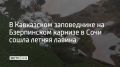 � ���������� ����������� �� ����������� ������� � ���� ����� ������ ������