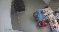В Санкт-Петербурге транспортные полицейские раскрыли кражу, совершенную на территории аэропорта Пулково