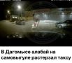 Полиция проводит проверку по факту нападения алабая на таксу на улице Российской в Дагомысе