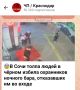 ���������� ���������� ������� ��� �� ������ ���� ��������� 26-������� �������� ������, ������� ���� ����������� ��������� ����� � ����� �� ��������������� ��������� ������-�������