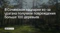 �� ������� ������ ������ ������� ���� �� ������-���������� �����������, �������� ������� �������� ������ ���� ��������