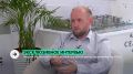 Когда начнется восстановление рынка недвижимости Сочи