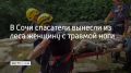 Сочинские спасатели эвакуировали из леса женщину, которая повредила ногу на ручье Сванидзе и не могла передвигаться самостоятельно, сообщили в городской Службе спасения
