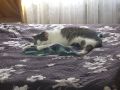 Доброе утро, Кубань!. Краснодар +35 °С