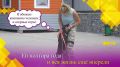 В Сочи по поручению главы города Андрея Прошунина стартовала акция «Стань хозяином четвероногого друга»