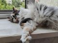 Доброе утро, Кубань!. Краснодар +33 °С
