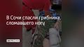 Мужчина отправился за грибами в лес неподалеку от улицы Леселидзе