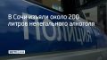 Контрафакт нашли в Адлерском районе курорта