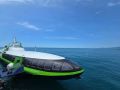 С 11 августа увеличено количество морских скоростных рейсов между Сочи и Сириусом
