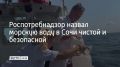 С начала 2026 года Роспотребнадзор проверил почти 6,5 тысячи проб морской воды на пляжах Сочи