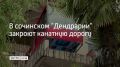 31 августа в парке "Дендрарий" закроют канатную дорогу, сообщили в сообществе парка в ВКонтакте