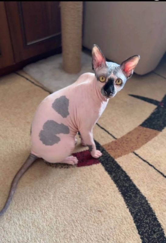 Доброе утро, Кубань!. Краснодар +30 °С Доброе утро, Кубань!. Краснодар +30 °С