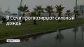 Ночью и утром 7 сентября на побережье Сочи и Сириуса местами ожидаются сильный дождь и ливни с грозами, сообщили в администрации курорта