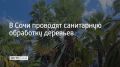 � ���� �������� ���������� ��������� ��������