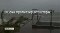 С вечера 7 сентября и до первой половины дня 8 сентября в Сочи и Сириусе прогнозируют трехбалльный шторм с высотой волн до 1,2 метра, сообщили в администрации курорта