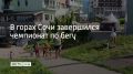 В горах Сочи завершился чемпионат по бегу, на который приехали не только спортсмены из разных регионов России, но и из-за рубежа
