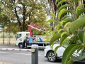 Доброе утро, Сочи!. Новый день уже начался — впереди дела, встречи, учёба и работа
