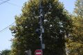В Сочи до конца года будет установлено 54 датчика интеллектуальной системы контроля за движением транспорта
