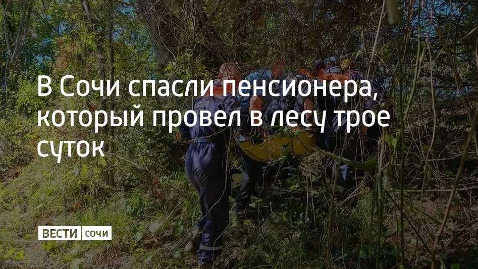 Пенсионер отправился в лес за грибами в районе улицы Шоссейной