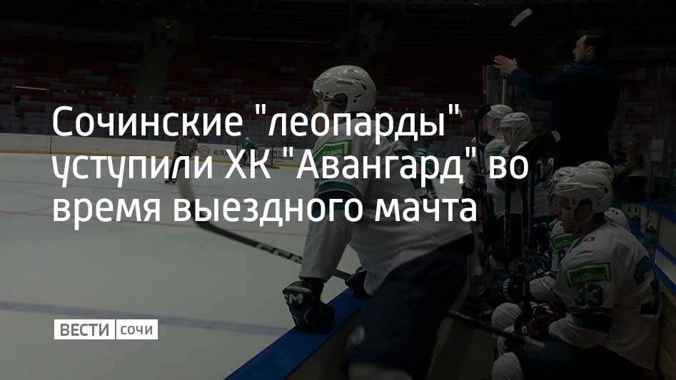 Сочинские "леопарды" отправились в Омск, чтобы сразиться с ХК "Авангард"