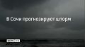 С вечера 15 сентября и до утра 16 сентября в Сочи и Сириусе прогнозируют шторм до четырех баллов с высотой волн от 1,3 до 1,5 м, сообщили в администрации курорта