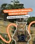 Сочи в кадре: места, где снимали любимые фильмы