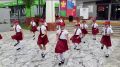 На избирательных участках Сочи организована культурная программа
