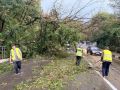 Рабочие выходные. Минувшие дни для дорожных специалистов прошли в усиленном режиме