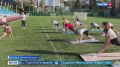 � ���� ����������� ���������� ������������ ������� �� ������ ����� � �������������� �����
