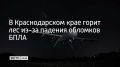 Неподалеку от микрорайона Голубая Бухта в Геленджике произошло возгорание в лесу из-за падения обломков беспилотников, сообщил глава города Андрей Богодистов