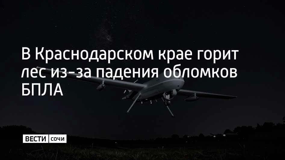 Неподалеку от микрорайона Голубая Бухта в Геленджике произошло возгорание в лесу из-за падения обломков беспилотников, сообщил глава города Андрей Богодистов