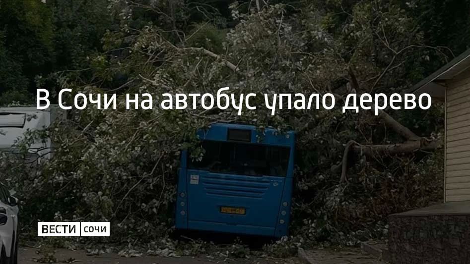 На конечной остановке маршрута №86 в микрорайоне Искра дерево упало на автобус и перекрыло проезд