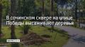 В Лазаревском районе Сочи продолжают благоустраивать сквер перед кинотеатром "Восход" на улице Победы, сообщили в МЦУ курорта 24 сентября