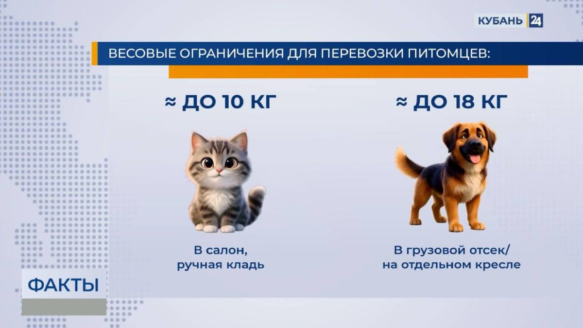 Что мы рассказывали 25 сентября: Что мы рассказывали 25 сентября: